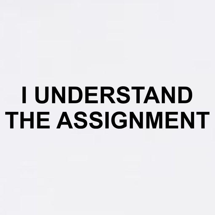 I Understand The Assignment Baby Bodysuit