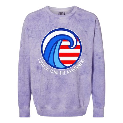 I Understand The Assignment Pro Democrat Harris Walz Colorblast Crewneck Sweatshirt