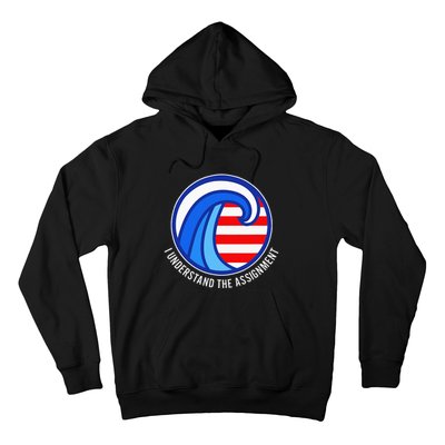 I Understand The Assignment Pro Democrat Harris Walz Hoodie