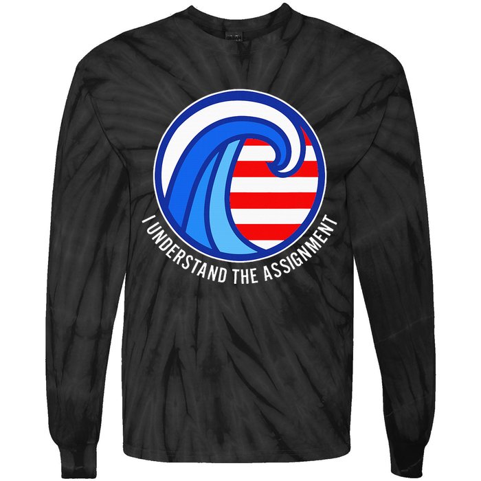 I Understand The Assignment Pro Democrat Harris Walz Tie-Dye Long Sleeve Shirt