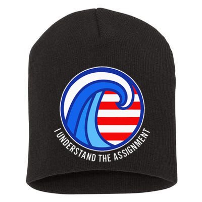 I Understand The Assignment Pro Democrat Harris Walz Short Acrylic Beanie