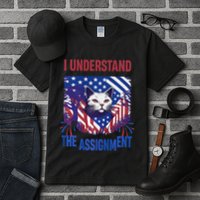 I Understand The Assignment Meme Tall T-Shirt
