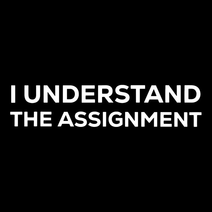I Understand The Assignment Tie-Dye T-Shirt