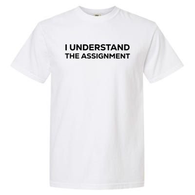 I Understand The Assignment Garment-Dyed Heavyweight T-Shirt