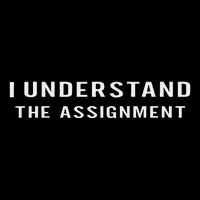 I Understand The Assignment Gift T-Shirt