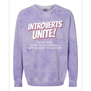 Introverts Unite Want To Go Home Gift Colorblast Crewneck Sweatshirt