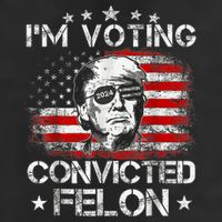 IM Voting Convicted Felon 2024 Trump 2024 Convicted Felon Cool Comfort Performance Bucket Hat