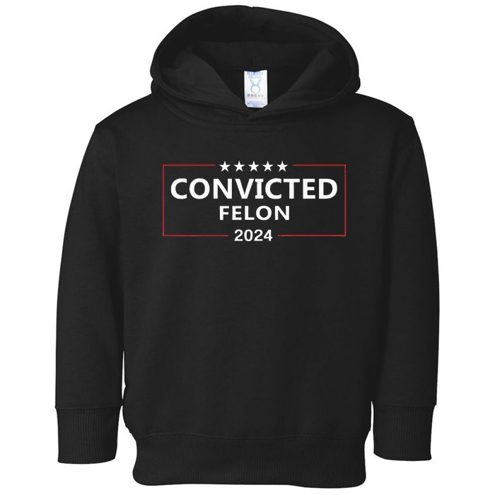 I Voted Convicted Felon 2024 Pro Trump Election Campaign Toddler Hoodie