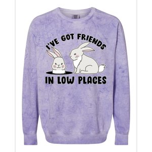 I've Got Friends In Low Places Colorblast Crewneck Sweatshirt