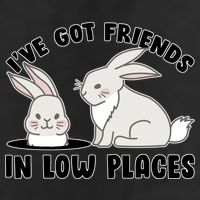 I've Got Friends In Low Places Adult Drive Performance Visor