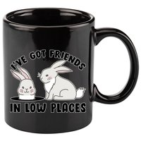 I've Got Friends In Low Places 11oz C Handle Ceramic Mug