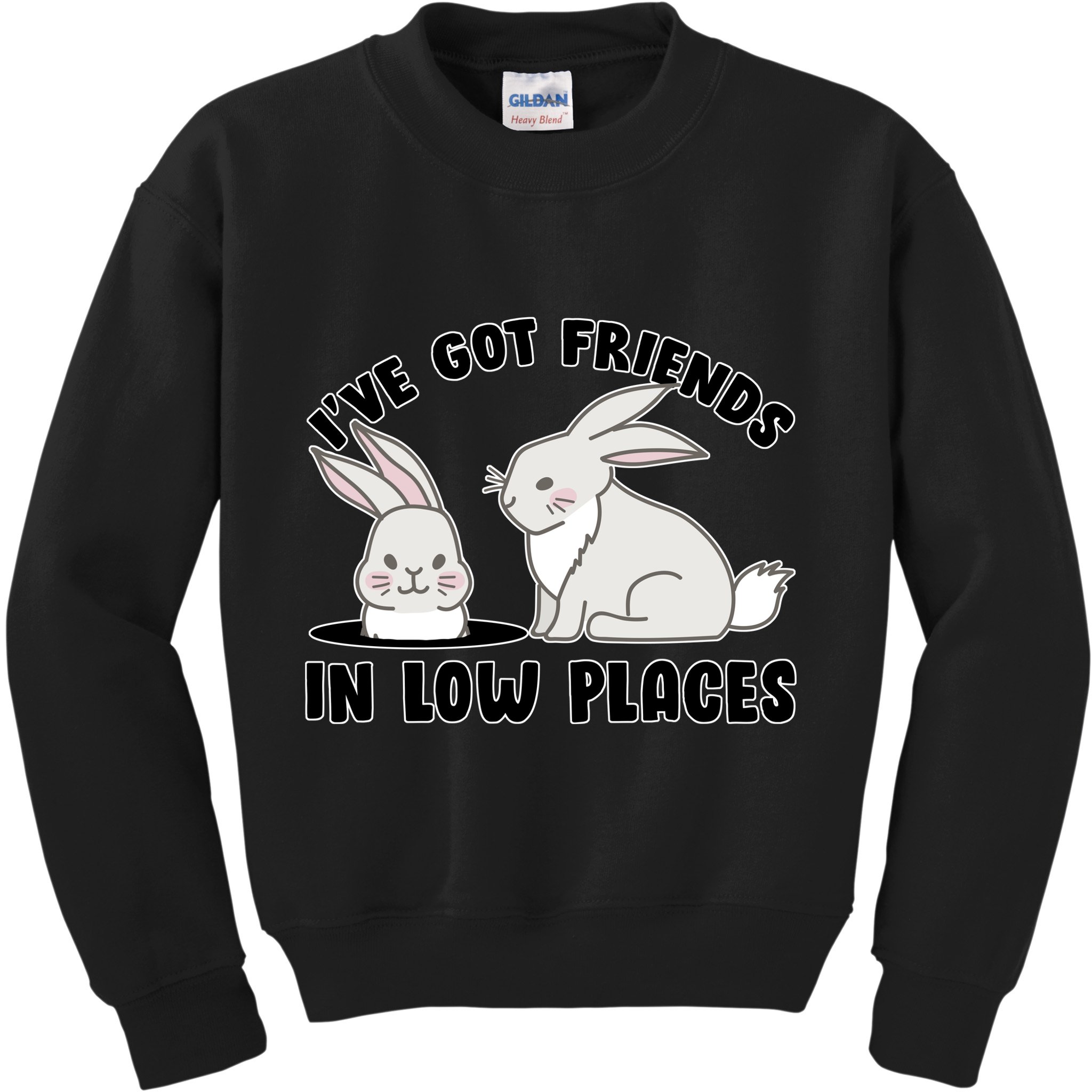 I've Got Friends In Low Places Kids Sweatshirt