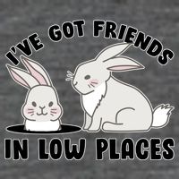 I've Got Friends In Low Places 7 Panel Mesh Trucker Snapback Hat