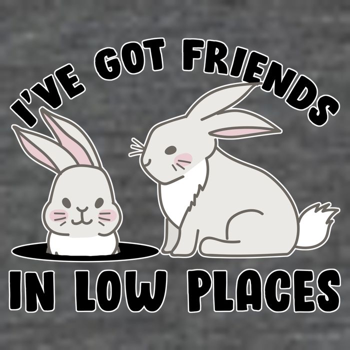 I've Got Friends In Low Places 7 Panel Mesh Trucker Snapback Hat
