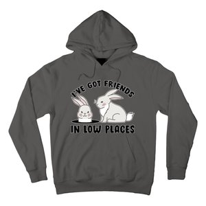 I've Got Friends In Low Places Hoodie