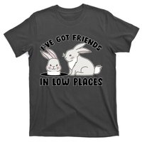 I've Got Friends In Low Places T-Shirt