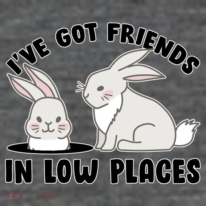 I've Got Friends In Low Places Tall T-Shirt