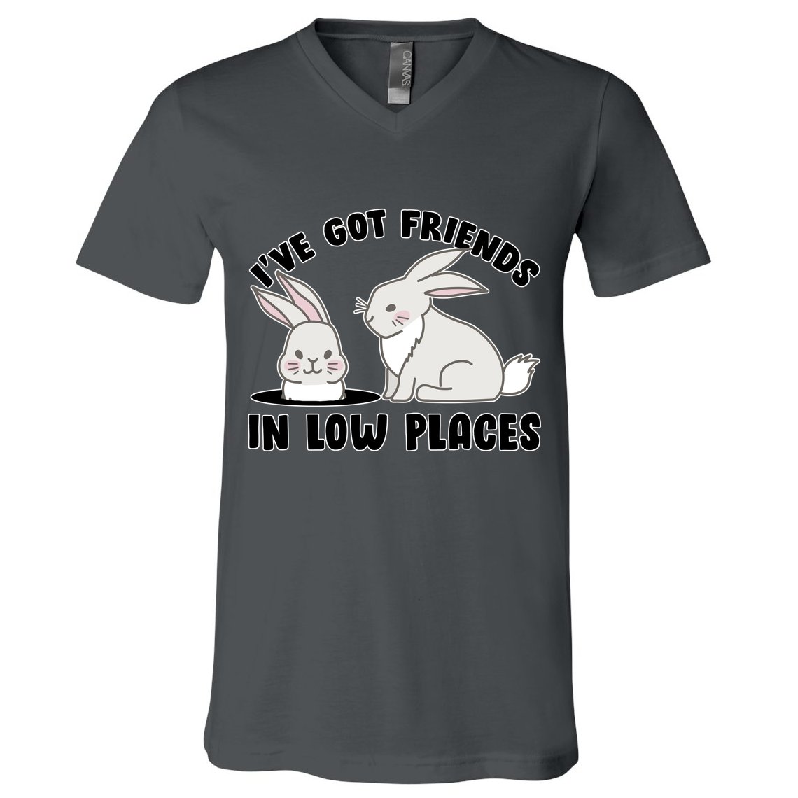I've Got Friends In Low Places V-Neck T-Shirt
