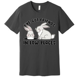 I've Got Friends In Low Places Premium T-Shirt