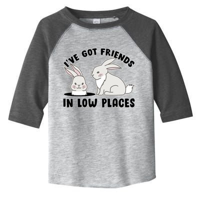 I've Got Friends In Low Places Toddler Fine Jersey T-Shirt