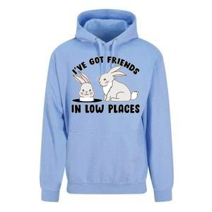 I've Got Friends In Low Places Unisex Surf Hoodie