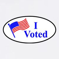 I Voted Election Voting Graphic Cooling Performance Crew T-Shirt