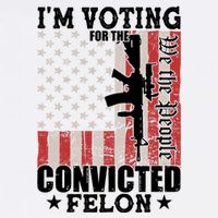 Im Voting For The Convicted Felon We The People Usa Flag Garment-Dyed Sweatshirt