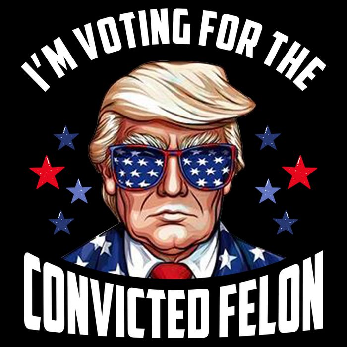 Im Voting For The Convicted Felon Funny Pro Trump Usa 16 in Basic Backpack