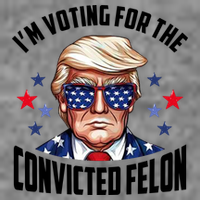 Im Voting For The Convicted Felon Funny Pro Trump Usa Premium T-Shirt