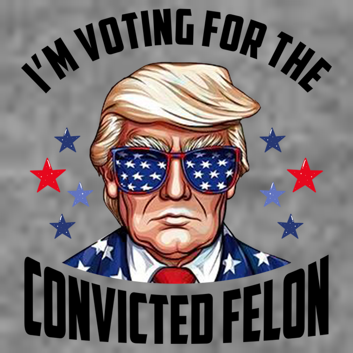 Im Voting For The Convicted Felon Funny Pro Trump Usa Premium T-Shirt