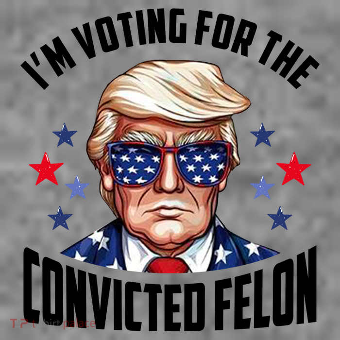 Im Voting For The Convicted Felon Funny Pro Trump Usa Toddler T-Shirt