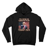 Im Voting For The Nonconvicted Felon Funny Pro Biden 2024 Hoodie