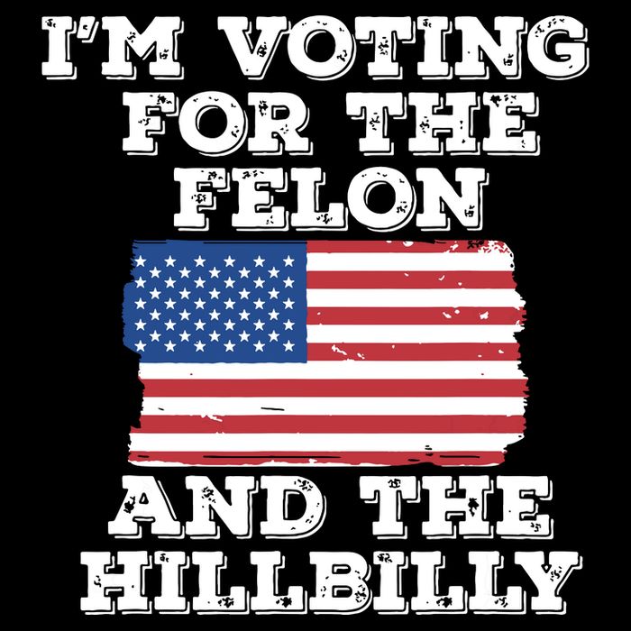 Im Voting For The Felon The Hillbilly 2024 Pro Trump Meme T-Shirt