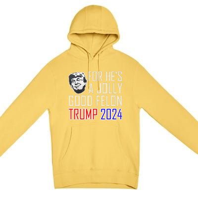 IM Voting For The Convicted Felon Funny Pro Trump 2024 Premium Pullover Hoodie