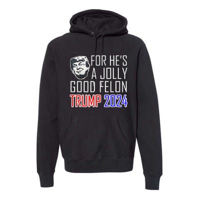 IM Voting For The Convicted Felon Funny Pro Trump 2024 Premium Hoodie