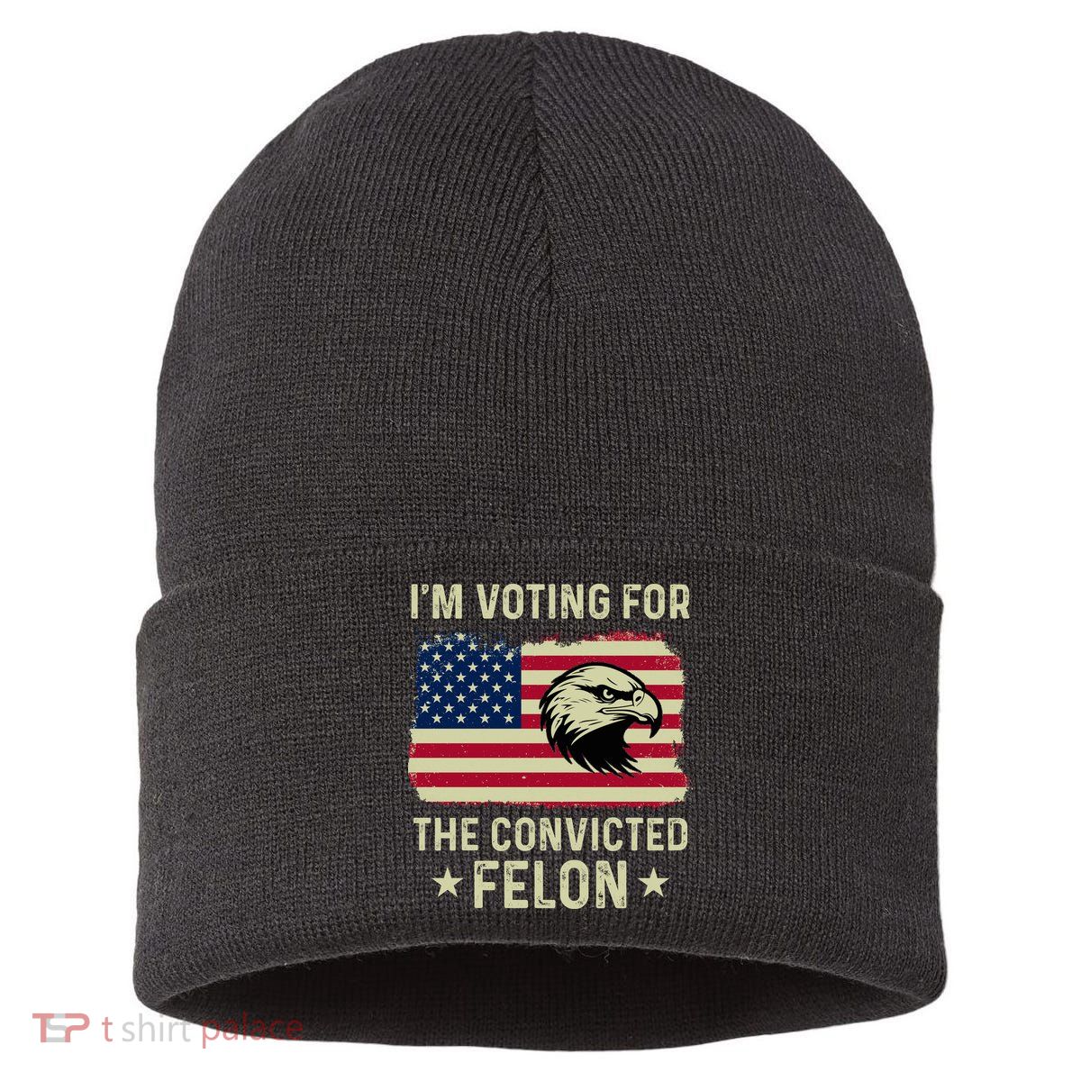Im Voting For The Convicted Felon Usa Eagle Sustainable Knit Beanie