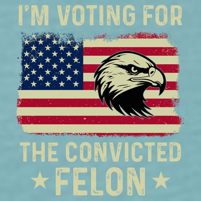 Im Voting For The Convicted Felon Usa Eagle Sueded Cloud Jersey T-Shirt