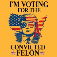 Im Voting For The Convicted Felon Funny Pro Trump 2024 Sustainable Knit Beanie