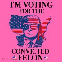 Im Voting For The Convicted Felon Funny Pro Trump 2024 Stripe Pom Pom Beanie