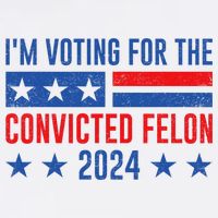 IM Voting Felon 2024 Voting For Felon Convicted Felon Flat Bill Trucker Hat