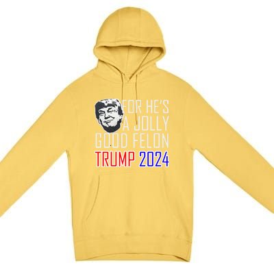 IM Voting For The Convicted Felon Funny Trump July 4th 2024 Gift Premium Pullover Hoodie