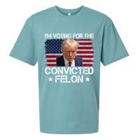Im Voting For A Convicted Felon Sueded Cloud Jersey T-Shirt