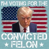Im Voting For A Convicted Felon Sueded Cloud Jersey T-Shirt