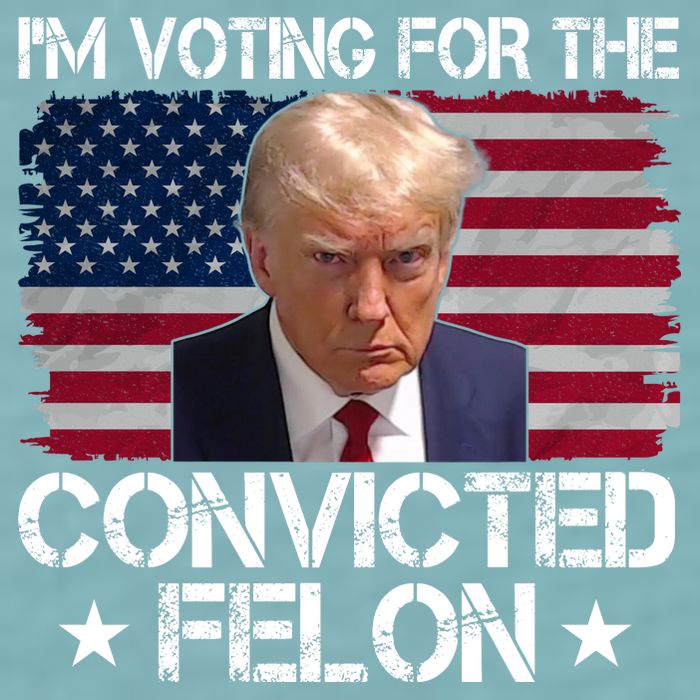 Im Voting For A Convicted Felon Sueded Cloud Jersey T-Shirt