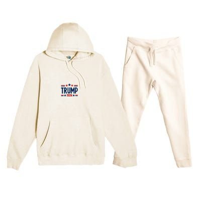 Im Voting For The Felon Trump 2024 Election (Front And Back) Premium Hooded Sweatsuit Set