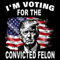 IM Voting For The Convicted Felon 2024 Toddler T-Shirt