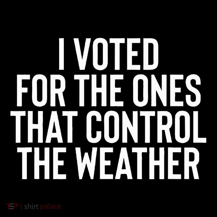 I Voted For The Ones That Control The Weather Hurricane Flat Bill Trucker Hat
