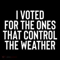 I Voted For The Ones That Control The Weather Hurricane Premium T-Shirt