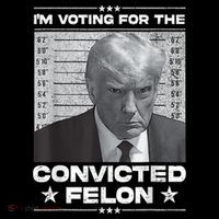 IM Voting For The Convicted Felon T-Shirt