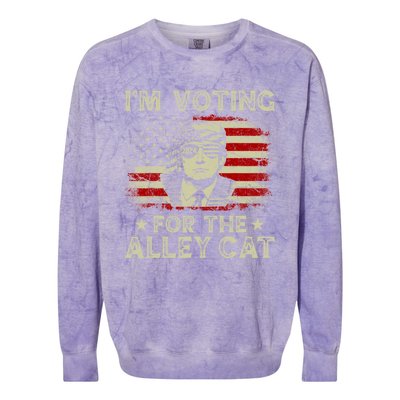 IM Voting For The Alley Cat 2024 Colorblast Crewneck Sweatshirt